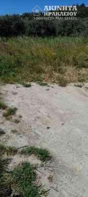 20230513_113312.jpg